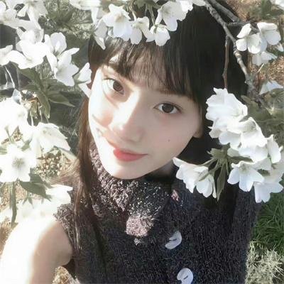 完美世界
